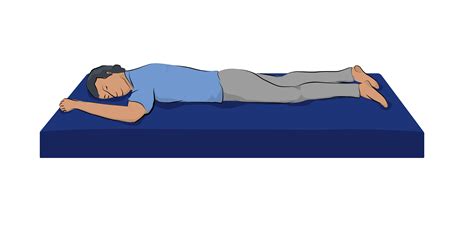 prone bone|Prone Bone Sex Position: An Illustrated Guide to Doing It Right